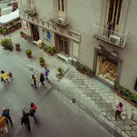 Edoardo Al Plebiscito